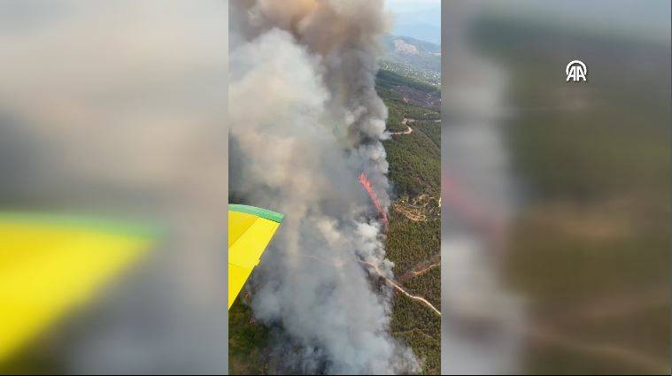 Aydın’ın Çine ilçesinde orman yangını - Resim: 4